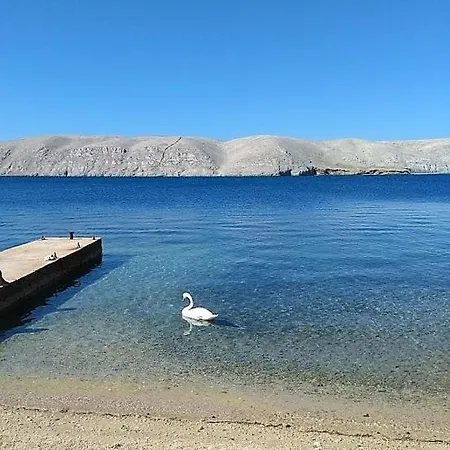 Pearl * Miškovići